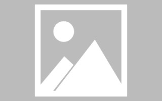 宜昌网页设计英文默认字体（网页设置英文转换中文）